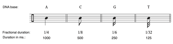 DNA Base to Duration
        Mapping