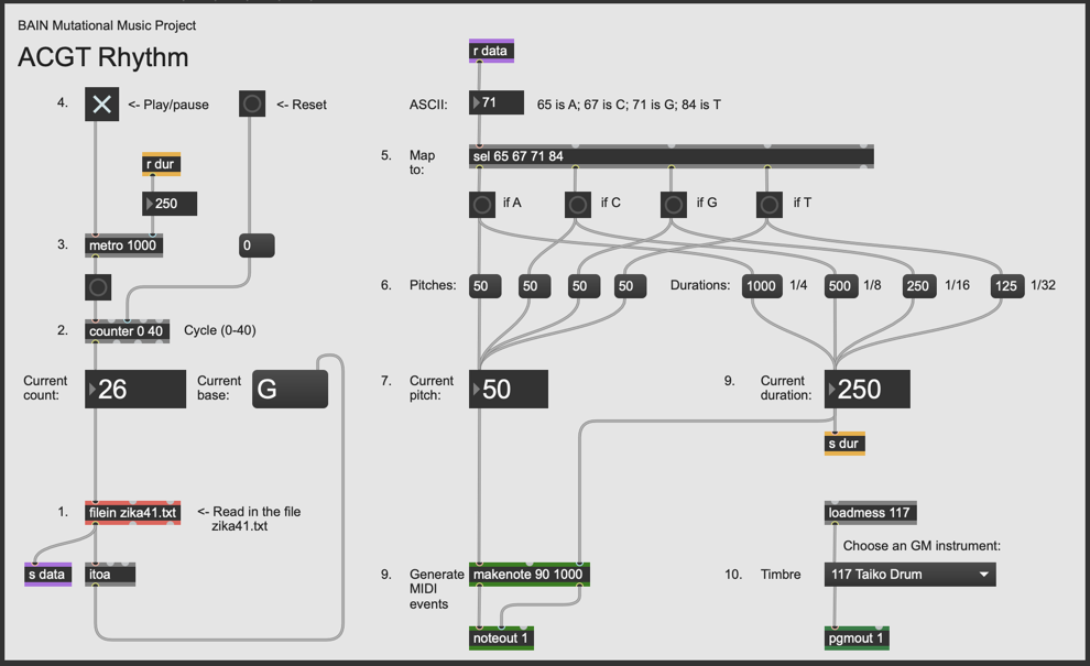 ACGT Rhythm