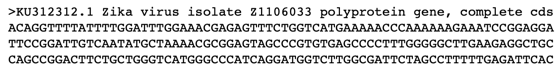 Zika virus FASTA
          data
