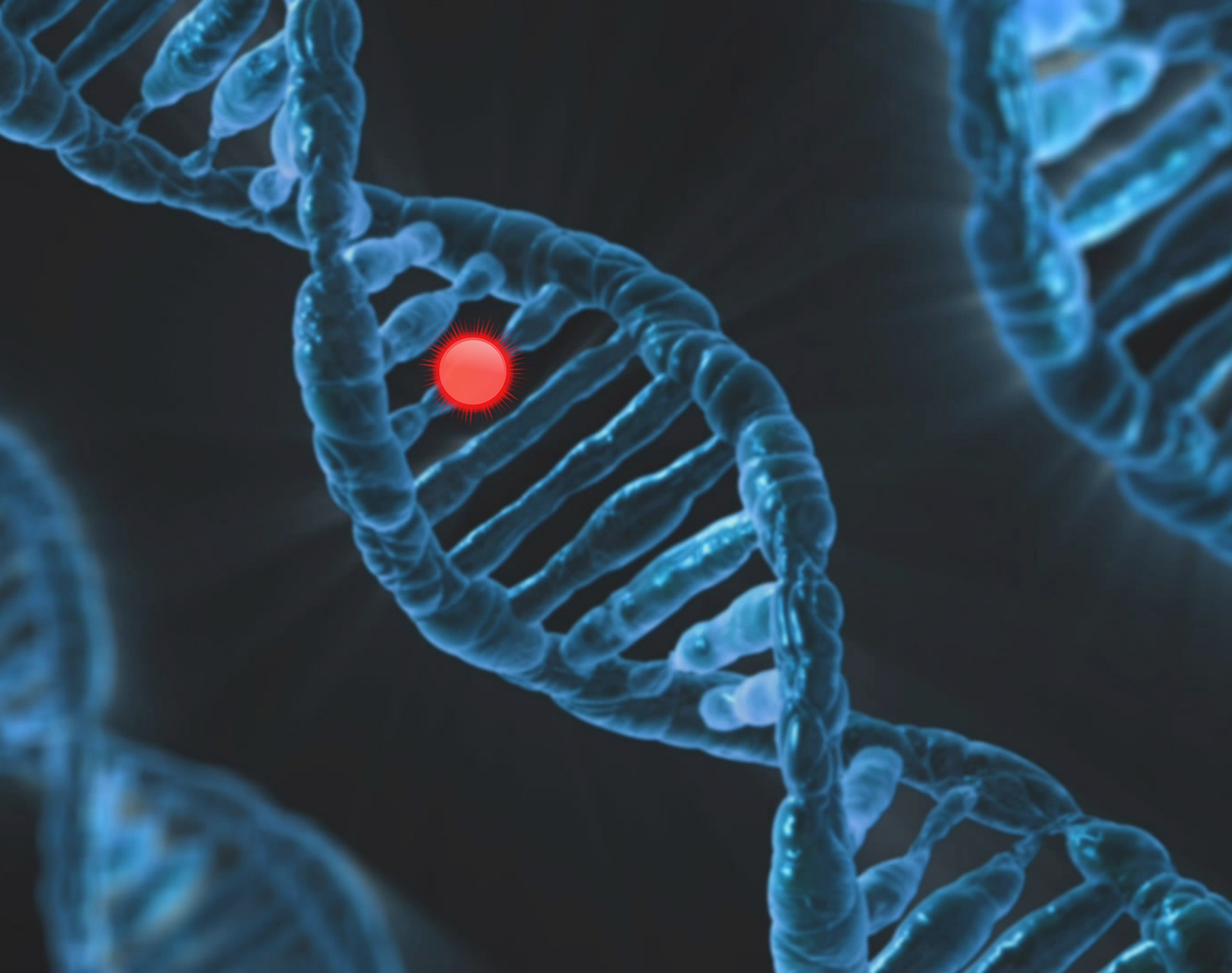 DNA image; Credit: Pixabay.com