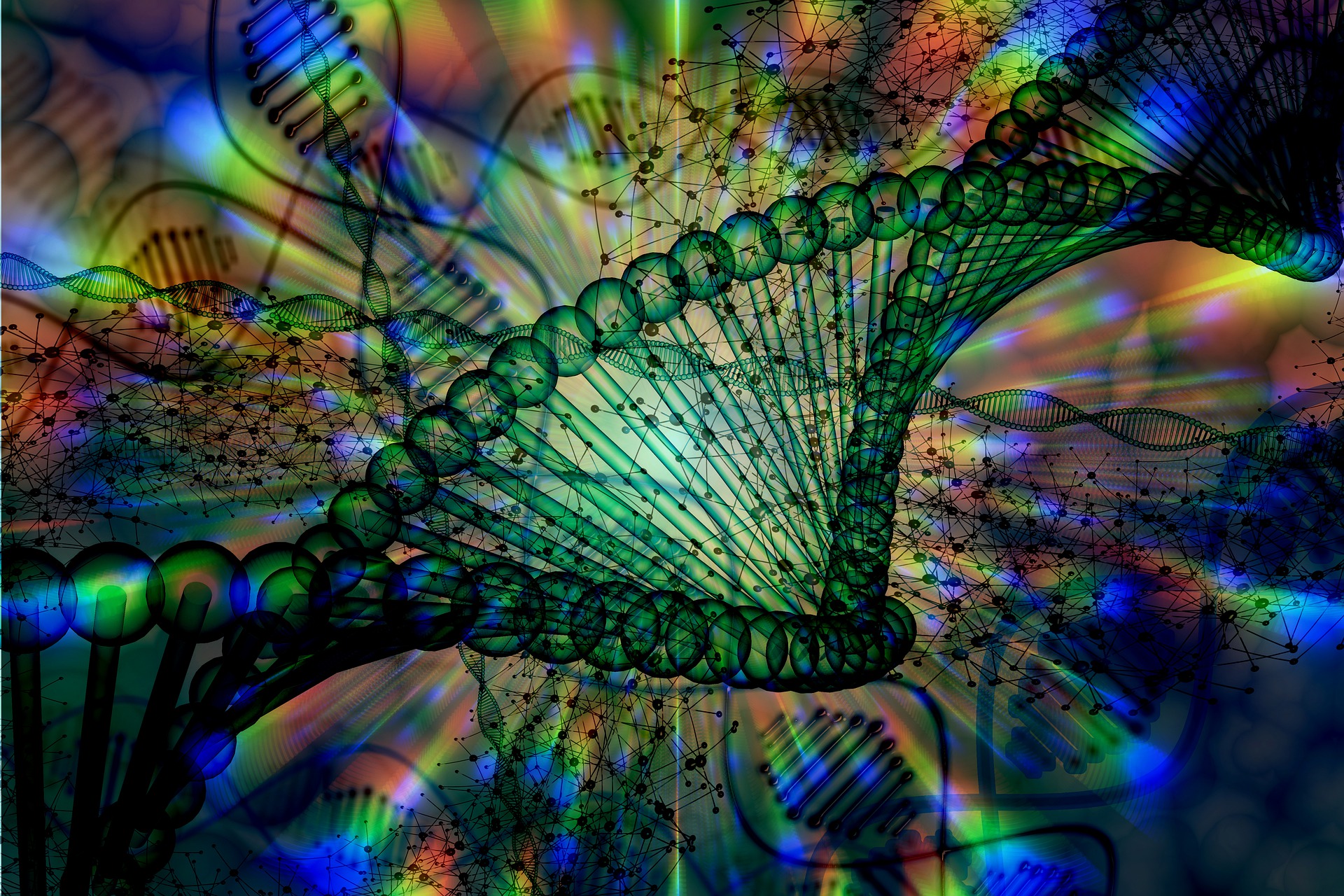 DNA image; Credit: Pixabay.com