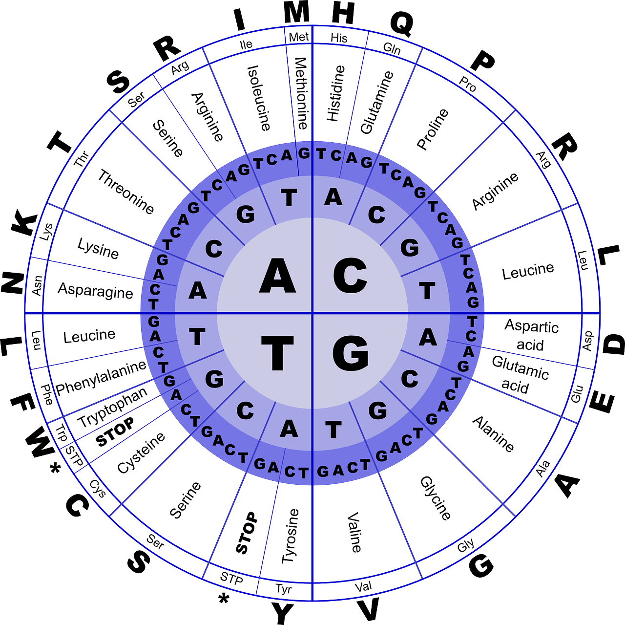 Genetic code image; Credit: Pixabay.com